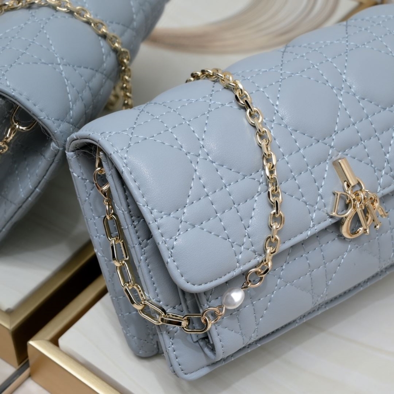 Dior Satchel bags